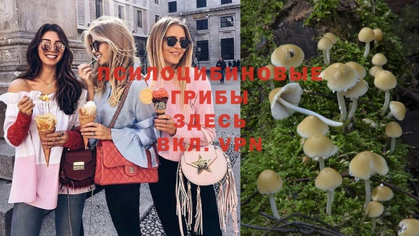 не бодяженный Белокуриха