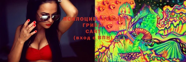 СК Беломорск