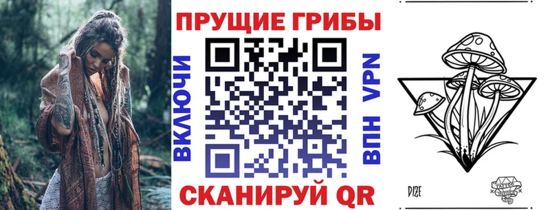 где можно купить   Окуловка  Псилоцибиновые грибы GOLDEN TEACHER 